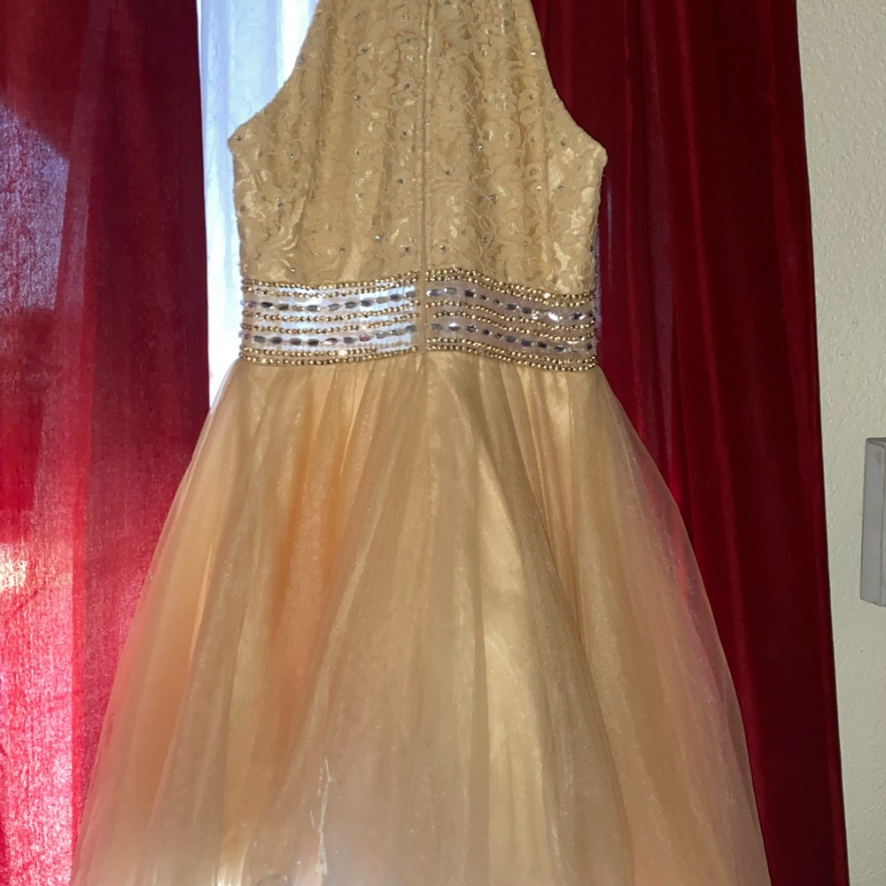 Champagne with silver design dress - Picture 4 of 5